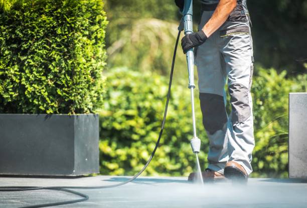 Best Parking Lot Cleaning in Minnetrista, MN
