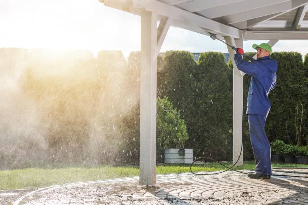Best Window and Screen Pressure Cleaning in Minnetrista, MN